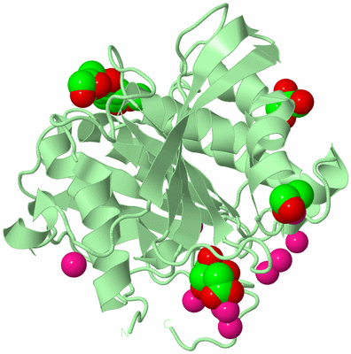 Image Biological Unit 2