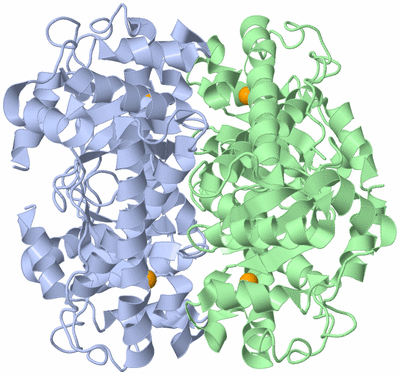 Image Biological Unit 1