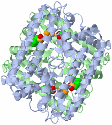 Image Biological Unit 1