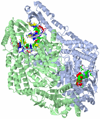 Image Asym./Biol. Unit - sites