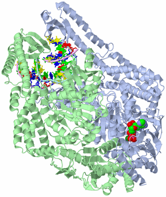 Image Asym./Biol. Unit