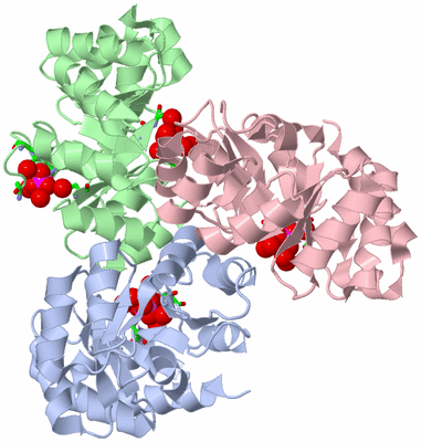 Image Asym./Biol. Unit - sites