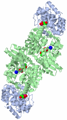 Image Biological Unit 1