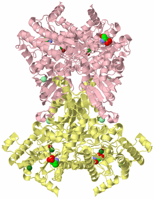 Image Biological Unit 2