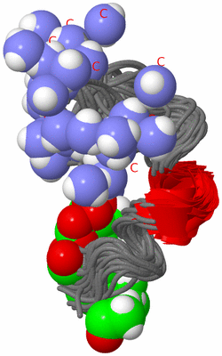 Image NMR Structure - all models