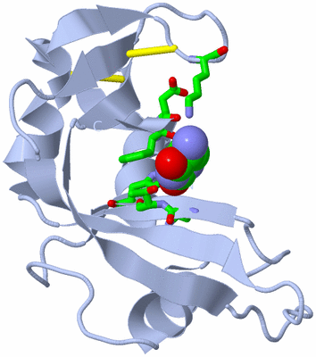 Image Biol. Unit 1 - sites