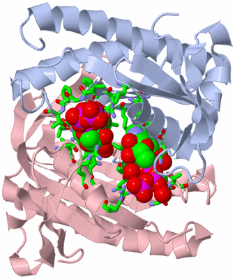 Image Biol. Unit 1 - sites