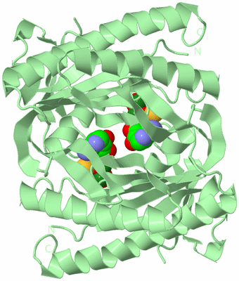 Image Biological Unit 2