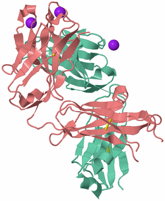 Image Biological Unit 2