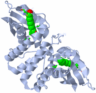 Image Biol. Unit 1 - sites