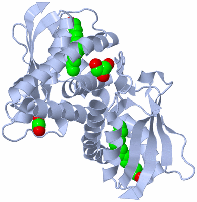 Image Biological Unit 1