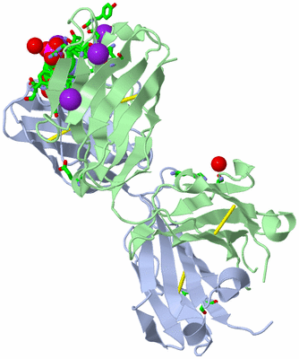 Image Biol. Unit 1 - sites