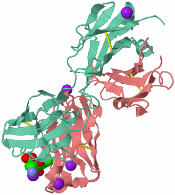 Image Biological Unit 2