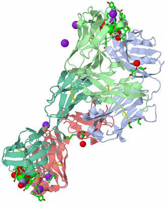 Image Asym. Unit - sites