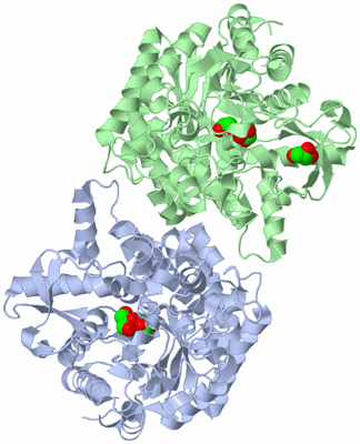 Image Asymmetric Unit
