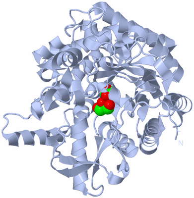 Image Biological Unit 1