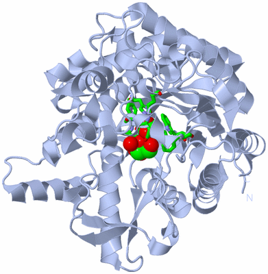 Image Biol. Unit 1 - sites