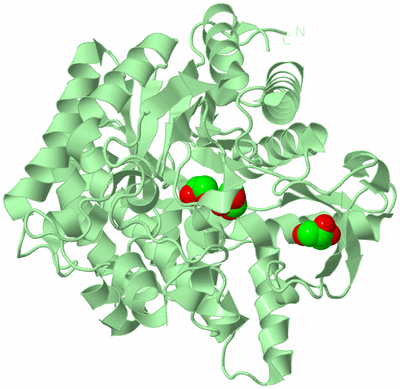 Image Biological Unit 2