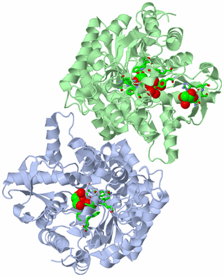 Image Asym. Unit - sites