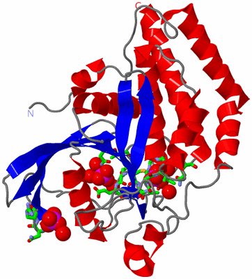 Image Asym./Biol. Unit - sites