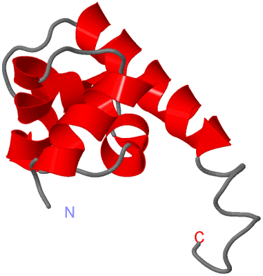 Image NMR Structure - model 1