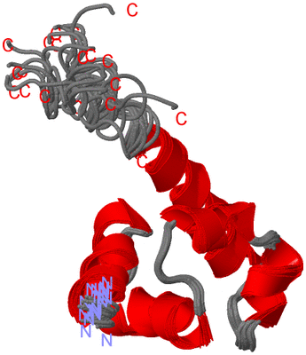 Image NMR Structure - all models