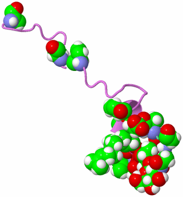 Image NMR Structure - model 1