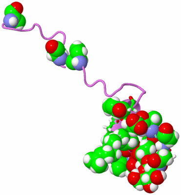 Image NMR Structure - model 1, sites