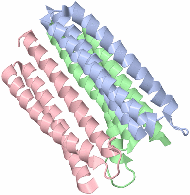 Image NMR Structure - model 1