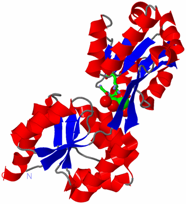 Image Asym./Biol. Unit - sites