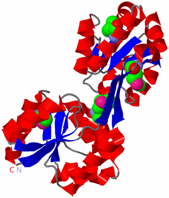 Image Asym./Biol. Unit