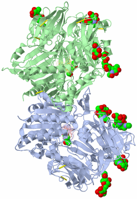 Image Asym./Biol. Unit