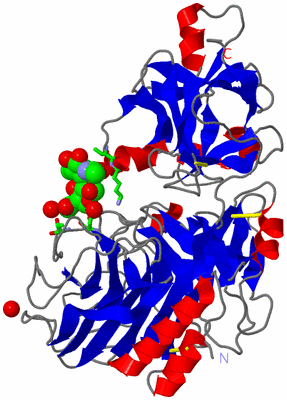 Image Asym./Biol. Unit - sites