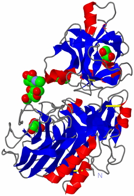 Image Asym./Biol. Unit