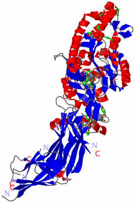 Image Asym. Unit - sites