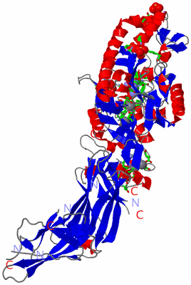 Image Asym. Unit - sites