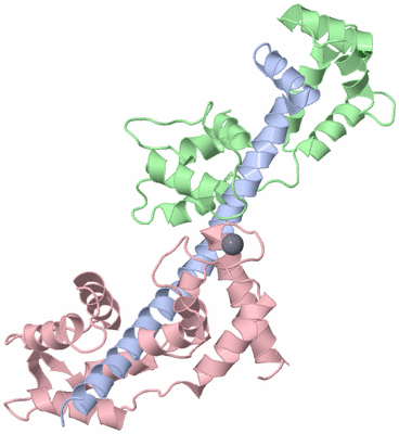 Image Asym./Biol. Unit