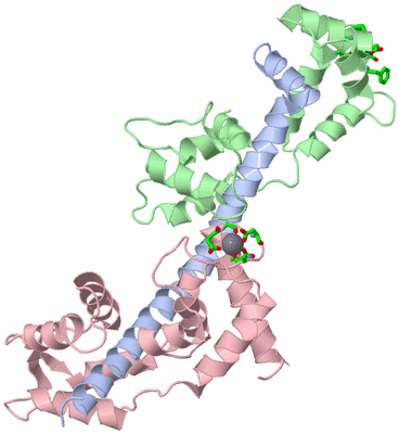 Image Asym./Biol. Unit - sites