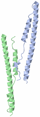 Image Asymmetric Unit