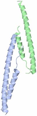 Image Asymmetric Unit