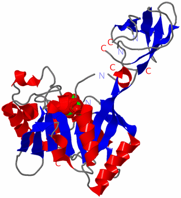 Image Asym./Biol. Unit