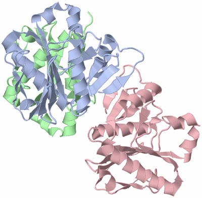 Image Asym./Biol. Unit