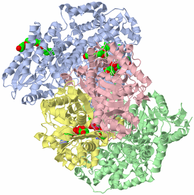 Image Asym./Biol. Unit