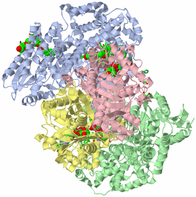 Image Asym./Biol. Unit - sites