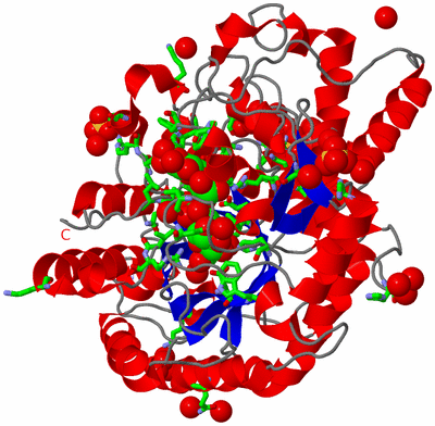 Image Asym./Biol. Unit - sites