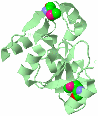 Image Biological Unit 2