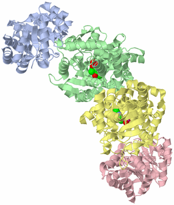 Image Biological Unit 1