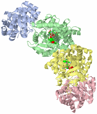 Image Biol. Unit 1 - sites