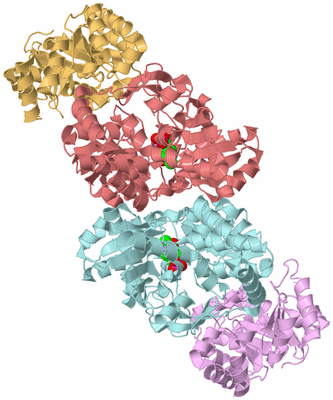 Image Biological Unit 2