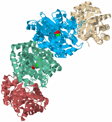 Image Biological Unit 3